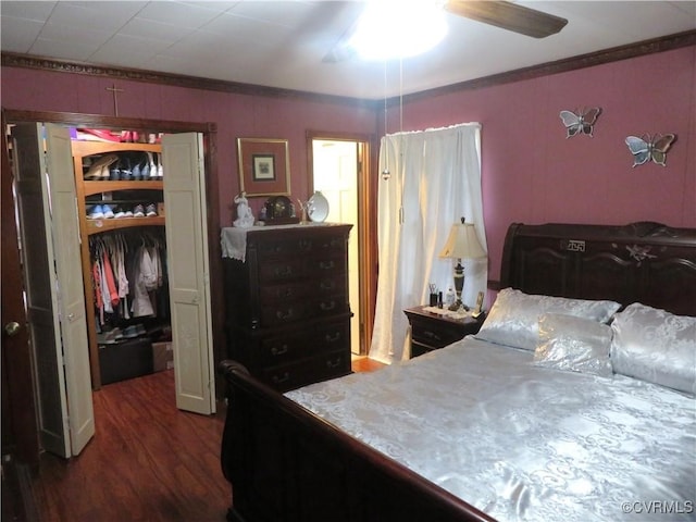 9616 Sunnyside Rd, Mc Kenney, VA 23872 - bedroom with a closet, dark wood-style floors, a ceiling fan, and ornamental molding