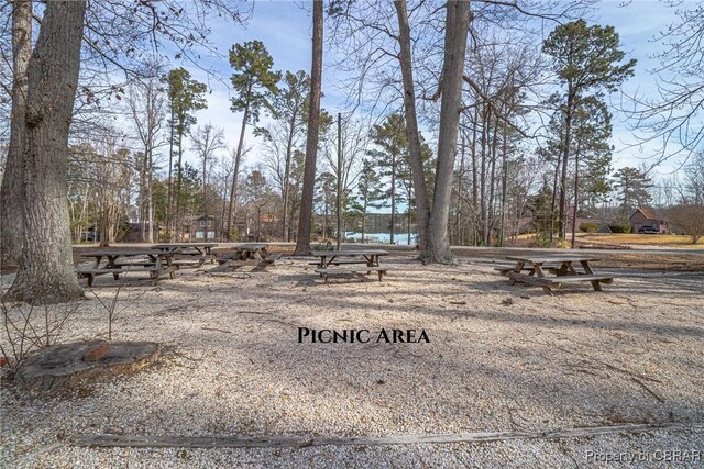 59 Hickory Rd, Mollusk, VA 22503 - view of yard