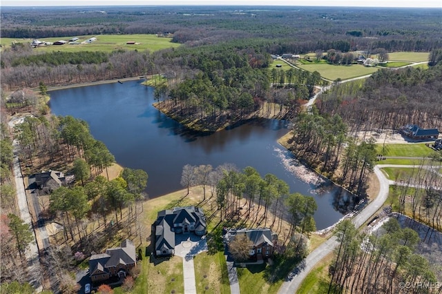 13494 Lakeview Farms Pl, Ashland, VA 23005 - birds eye view of property featuring a water view and a wooded view