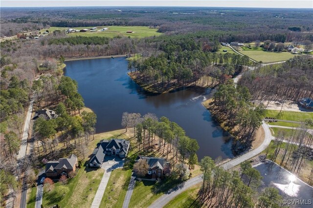 13494 Lakeview Farms Pl, Ashland, VA 23005 - drone / aerial view featuring a water view