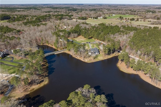 13494 Lakeview Farms Pl, Ashland, VA 23005 - birds eye view of property featuring a water view and a view of trees