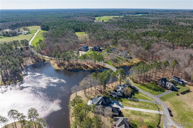 13494 Lakeview Farms Pl, Ashland, VA 23005 - drone / aerial view featuring a water view and a forest view