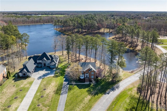 13494 Lakeview Farms Pl, Ashland, VA 23005 - bird's eye view with a water view and a forest view