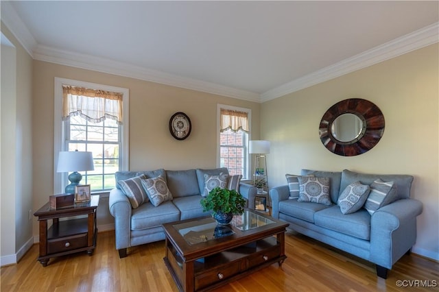 13494 Lakeview Farms Pl, Ashland, VA 23005 - living room featuring ornamental molding, baseboards, and light wood finished floors