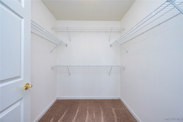 2404 Wanstead Ct, Henrico, VA 23238 - spacious closet featuring carpet floors