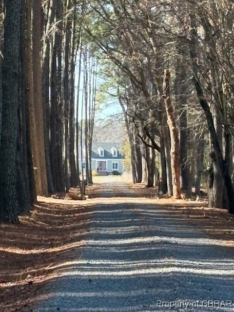 view of street featuring gravel driveway