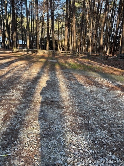 view of yard featuring driveway