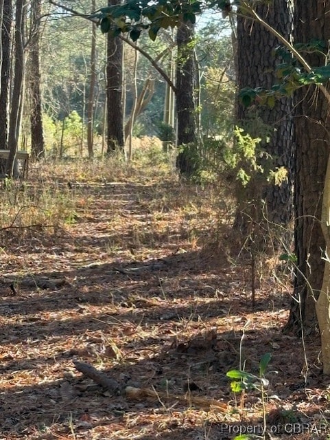 view of landscape with a wooded view