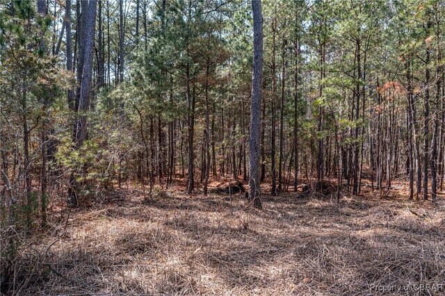 LOT4.25ACRES Galway Dr, Kilmarnock, VA 22482 - photo 10