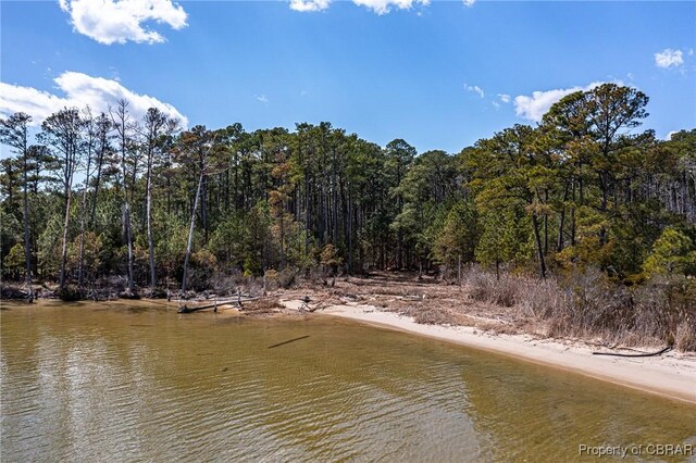 LOT4.25ACRES Galway Dr, Kilmarnock, VA 22482 - photo 5