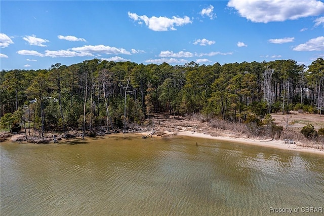 LOT4.25ACRES Galway Dr, Kilmarnock, VA 22482 - photo 7