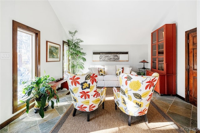 14304 Horseshoe Ford Rd, Ashland, VA 23005 - living room featuring vaulted ceiling and stone finish flooring