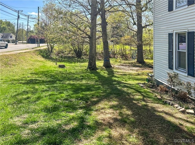 1016 Court St, Victoria, VA 23974 - view of yard