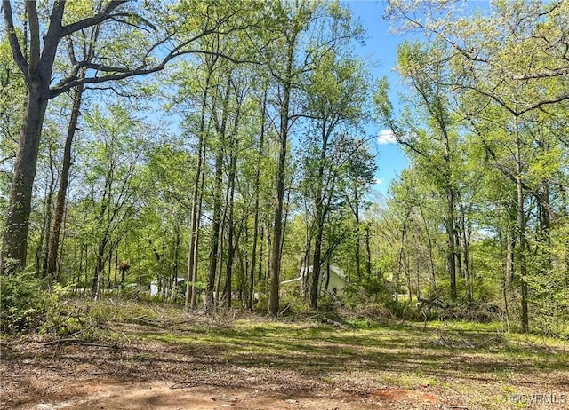 1016 Court St, Victoria, VA 23974 - view of nature featuring a forest view