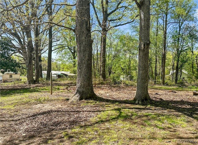 1016 Court St, Victoria, VA 23974 - view of yard