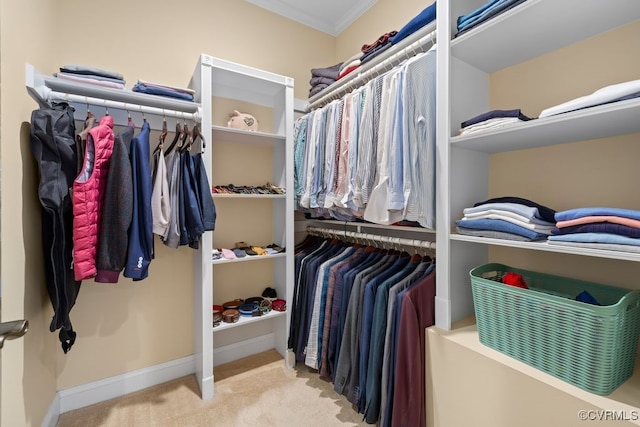walk in closet featuring carpet flooring