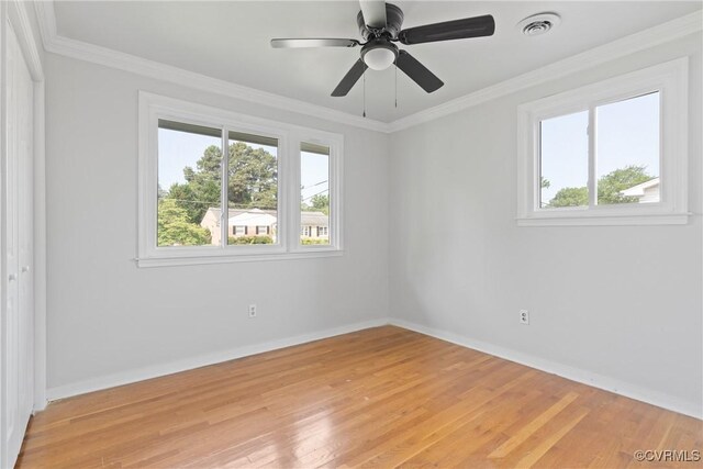 201 Winston Ave, Colonial Heights, VA 23834 - photo 23