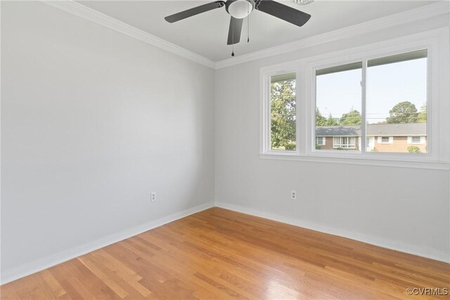 201 Winston Ave, Colonial Heights, VA 23834 - photo 25