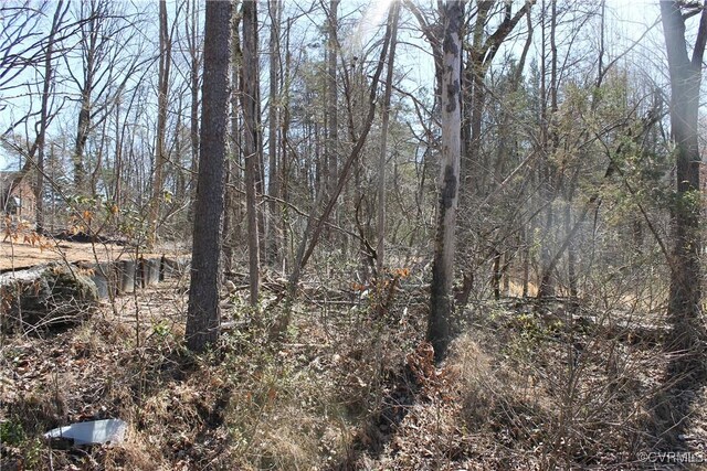 LOT562 Locust Dr, Louisa, VA 23093 - photo 2