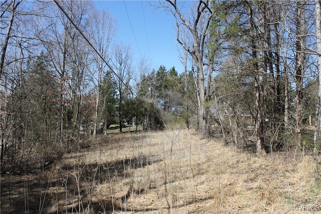 LOT562 Locust Dr, Louisa, VA 23093 - photo 6