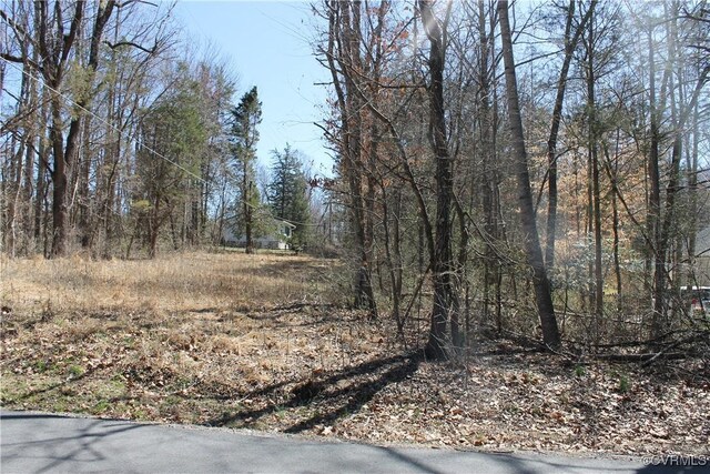 LOT562 Locust Dr, Louisa, VA 23093 - photo 4