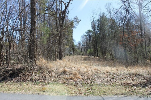 LOT562 Locust Dr, Louisa, VA 23093 - photo 5