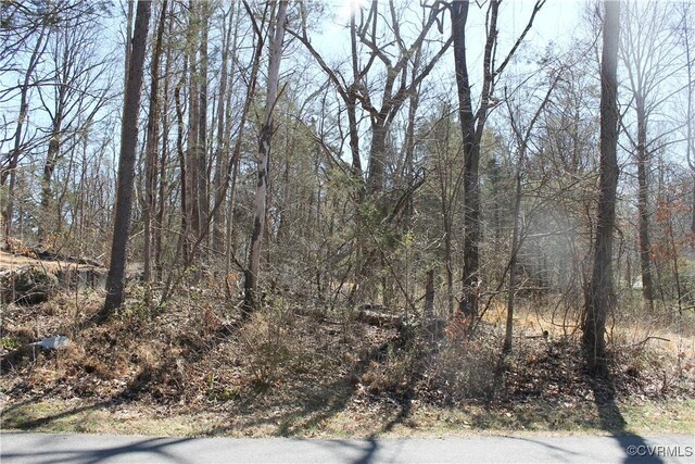 LOT562 Locust Dr, Louisa, VA 23093 - photo 3