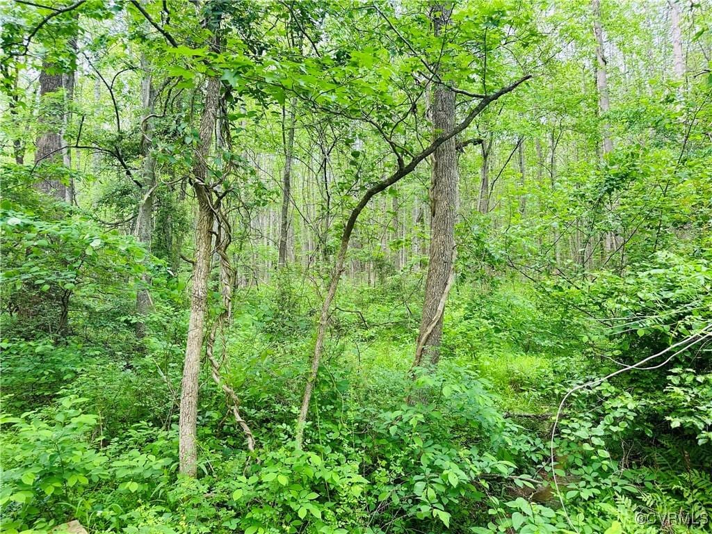 0 Pouncey Tract Rd, Hanover, VA 23146