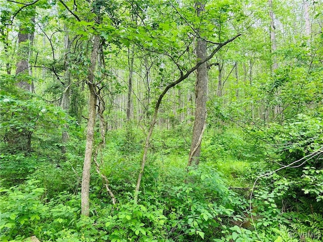 0 Pouncey Tract Rd, Hanover, VA 23146