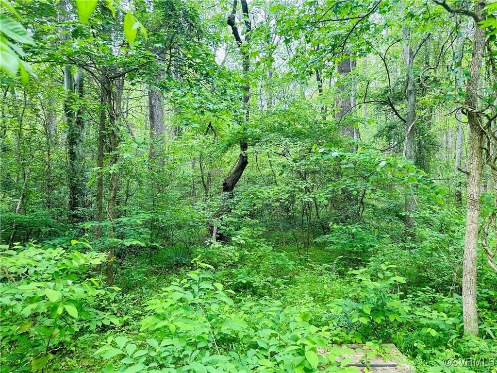 0 Pouncey Tract Rd, Hanover, VA 23146