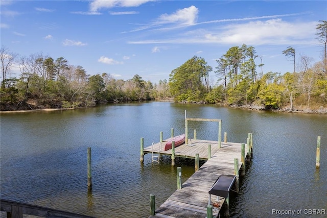65 Potomac Way Ln, Heathsville, VA 22473 - dock with a water view