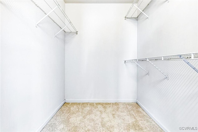 15116 Alderwood Turn, Chester, VA 23831 - spacious closet featuring carpet