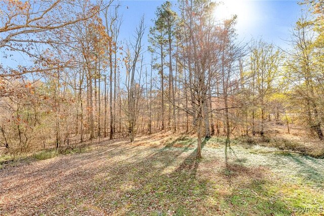 15116 Alderwood Turn, Chester, VA 23831 - photo 42