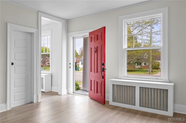 2407 Dumbarton Rd, Henrico, VA 23228 - entryway with radiator, wood finished floors, and plenty of natural light