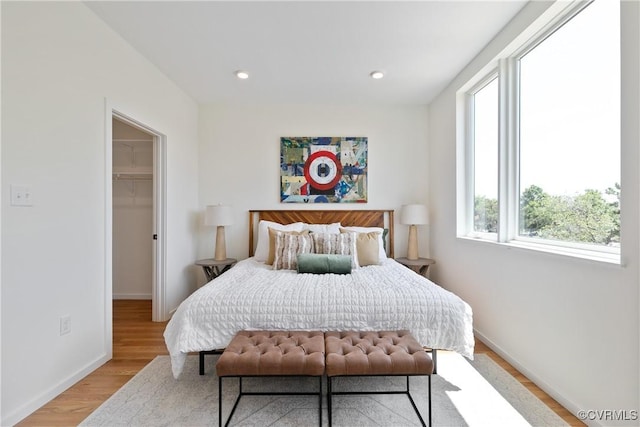 bedroom with baseboards, wood finished floors, a spacious closet, and multiple windows