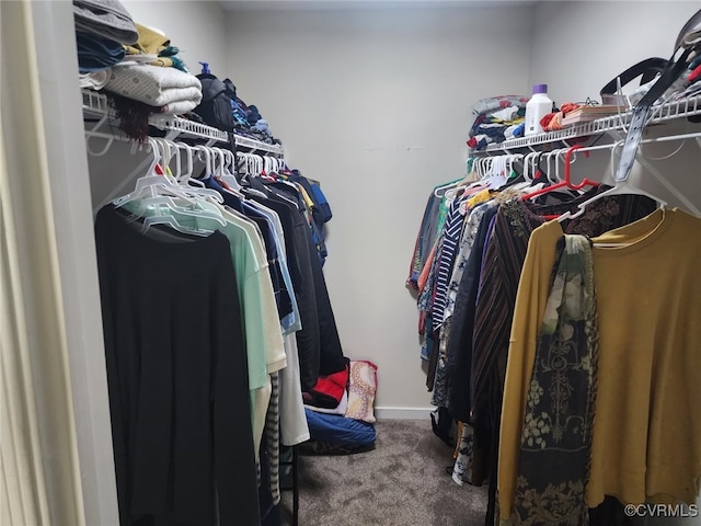 spacious closet featuring carpet floors