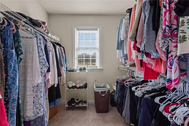 10011 Loblolly Ter, Amelia, VA 23002 - spacious closet featuring carpet