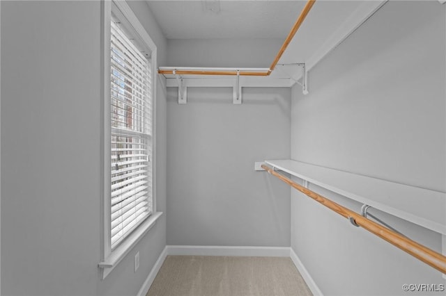 11421 Regal Ter, Providence Forge, VA 23140 - walk in closet featuring light colored carpet
