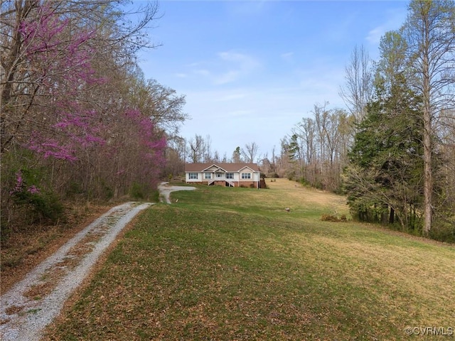 view of yard with dirt driveway