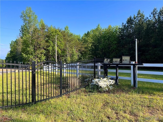 13201 Brooke Ridge Ln, Spotsylvania, VA 22551 - view of yard