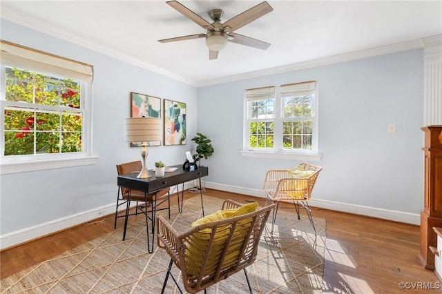 office space featuring a wealth of natural light, light wood-style floors, crown molding, and ceiling fan