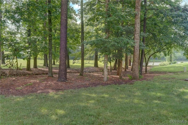 12255 Shore View Dr, Henrico, VA 23233 - view of green lawn