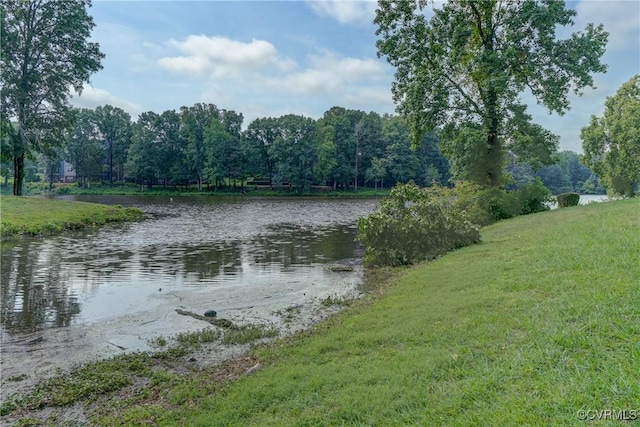 12255 Shore View Dr, Henrico, VA 23233 - water view