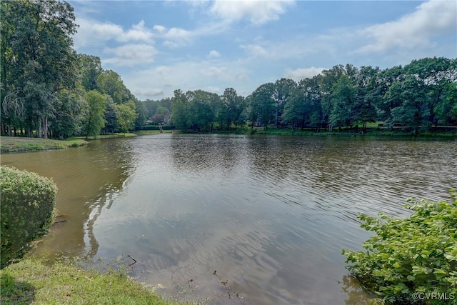 12255 Shore View Dr, Henrico, VA 23233 - water view with a heavily wooded area