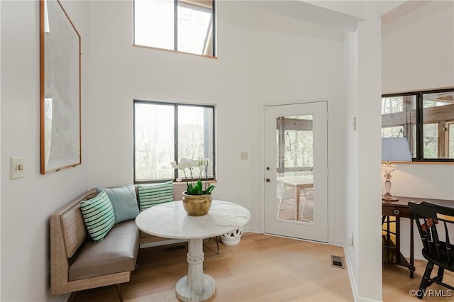 941 Wilton Coves Dr, Hartfield, VA 23071 - doorway with healthy amount of natural light, a high ceiling, and wood finished floors