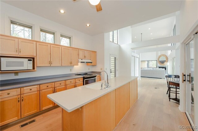 941 Wilton Coves Dr, Hartfield, VA 23071 - kitchen featuring white microwave, a sink, stainless steel electric range oven, under cabinet range hood, and light wood finished floors