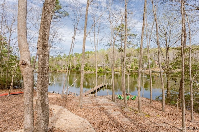 941 Wilton Coves Dr, Hartfield, VA 23071 - water view