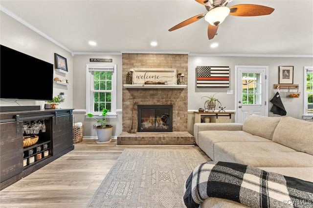living room with ornamental molding, ceiling fan, wood finished floors, and a fireplace