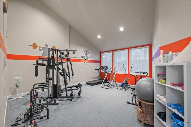 301 Beacon Ridge Dr Unit 109, Hopewell, VA 23860 - exercise room with vaulted ceiling and recessed lighting