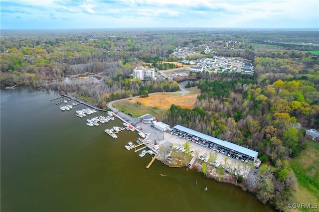 301 Beacon Ridge Dr Unit 109, Hopewell, VA 23860 - drone / aerial view of a nearby body of water and numerous boat docks